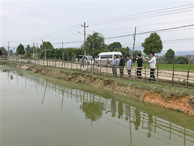 小小氧化塘治污好能手