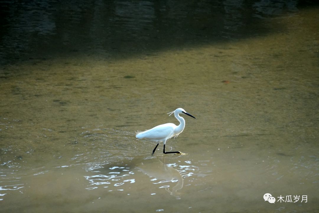 荐读路过嶍峨走过岁月