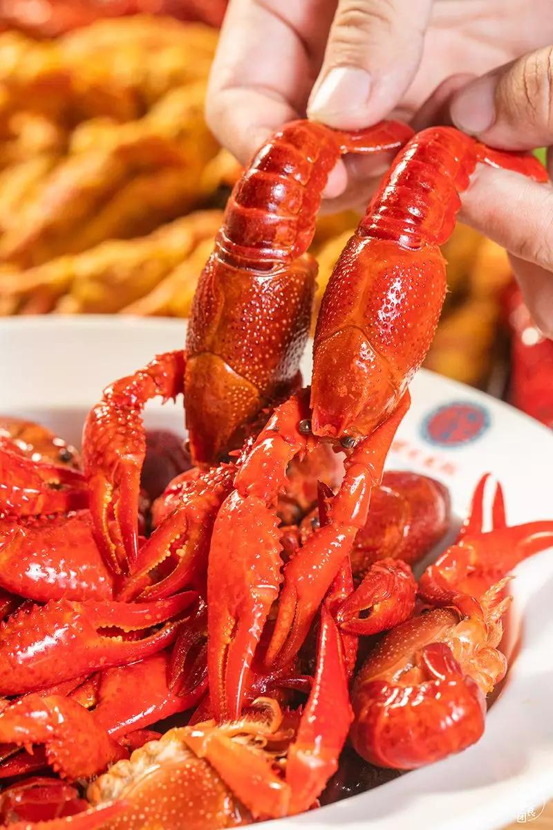 限时5折网红龙虾店出新品