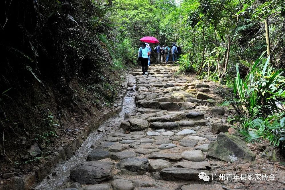 全国主流媒体百名记者聚焦南粤古驿道海上新丝路