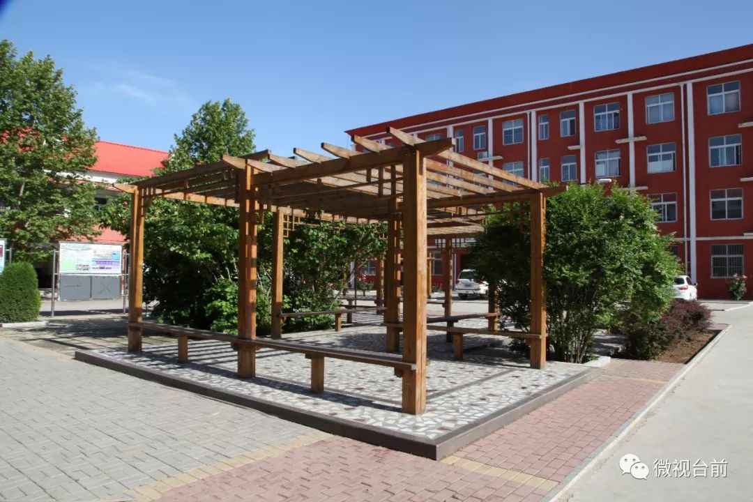 台前县励志中学招聘教师啦!年薪最高达20万,缴纳养老保险,管住宿!