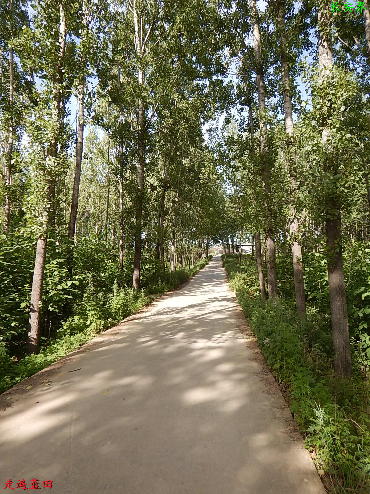 下面分享曹卫军的文章乡村旁那条大河 我家房后不远就是浐河的