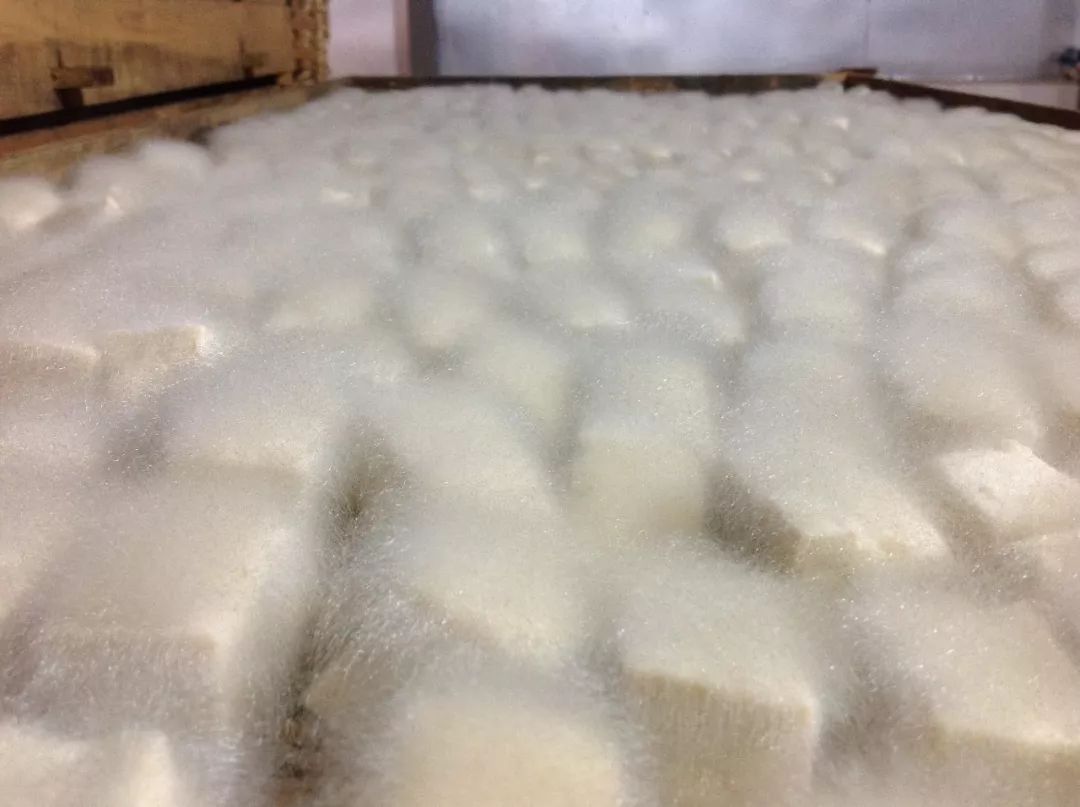 接下来就是晒太阳,完成第一重发酵的豆腐放到阳光中晾晒.