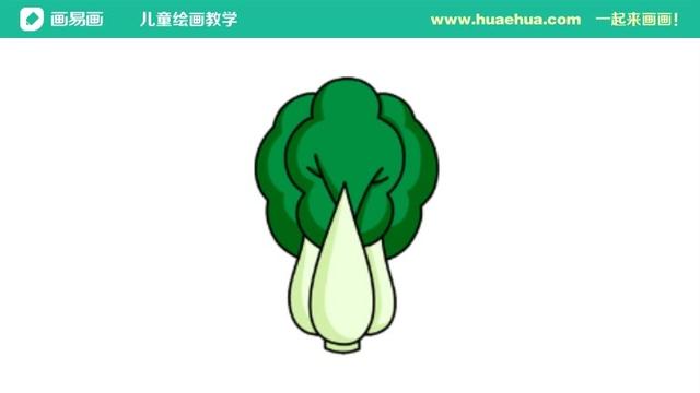 簡筆畫蔬菜怎麼畫大白菜