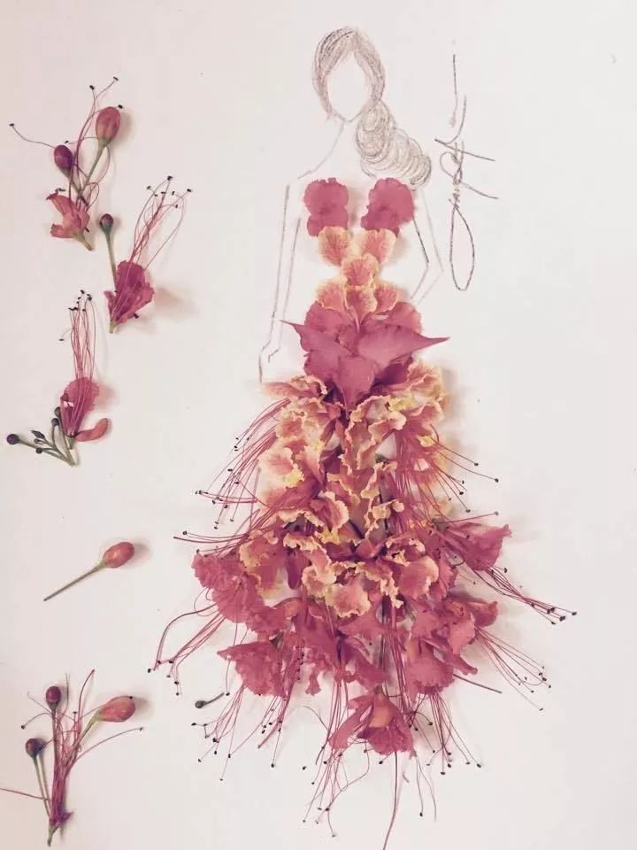 studio sr ||暑期课程隆重推出【小时装设计师班】~_服装