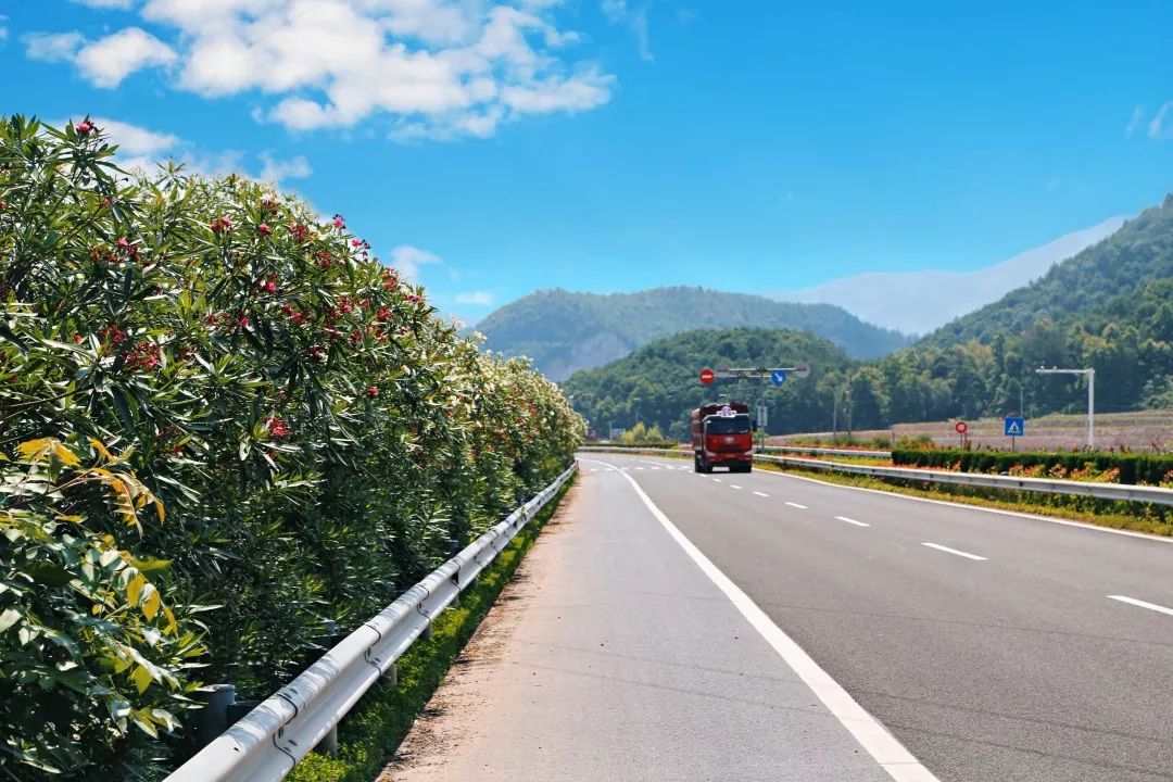 有种美叫缙云公路的夏天