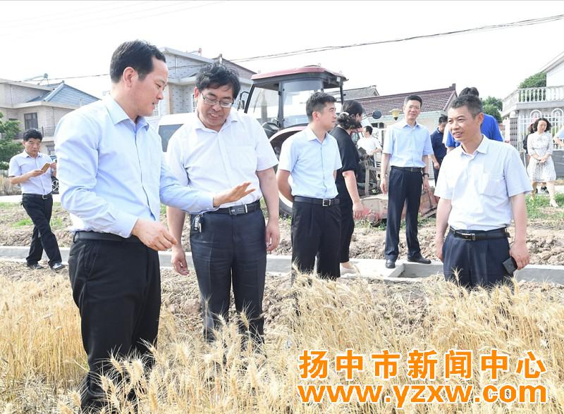 潘早云调研全市夏收夏种工作