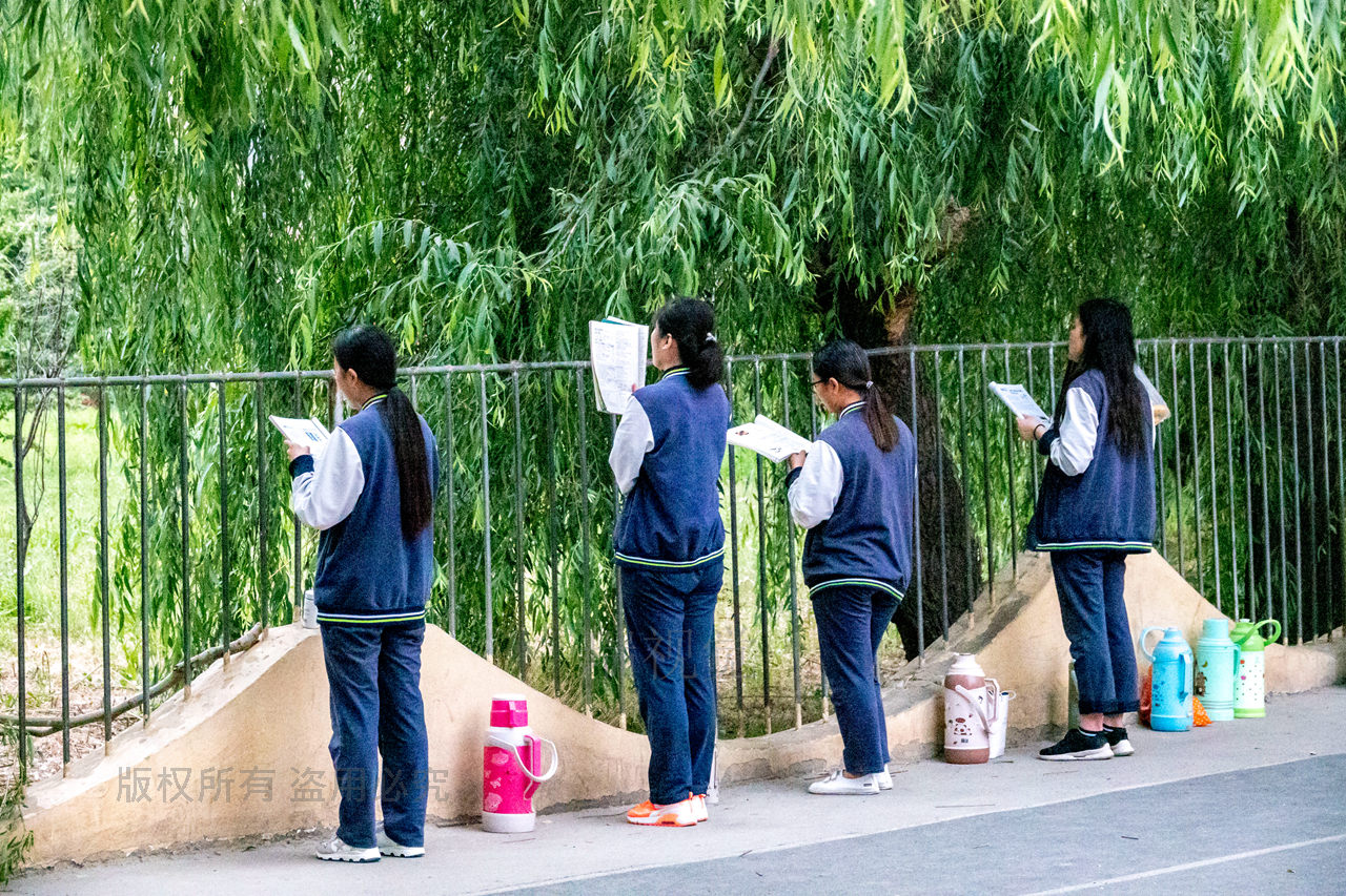 清晨操场上,认真读书备考的背影,再见,高三!