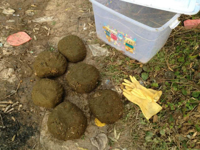 被遗忘的民间钓法,一款有味道的钓饵"牛粪"