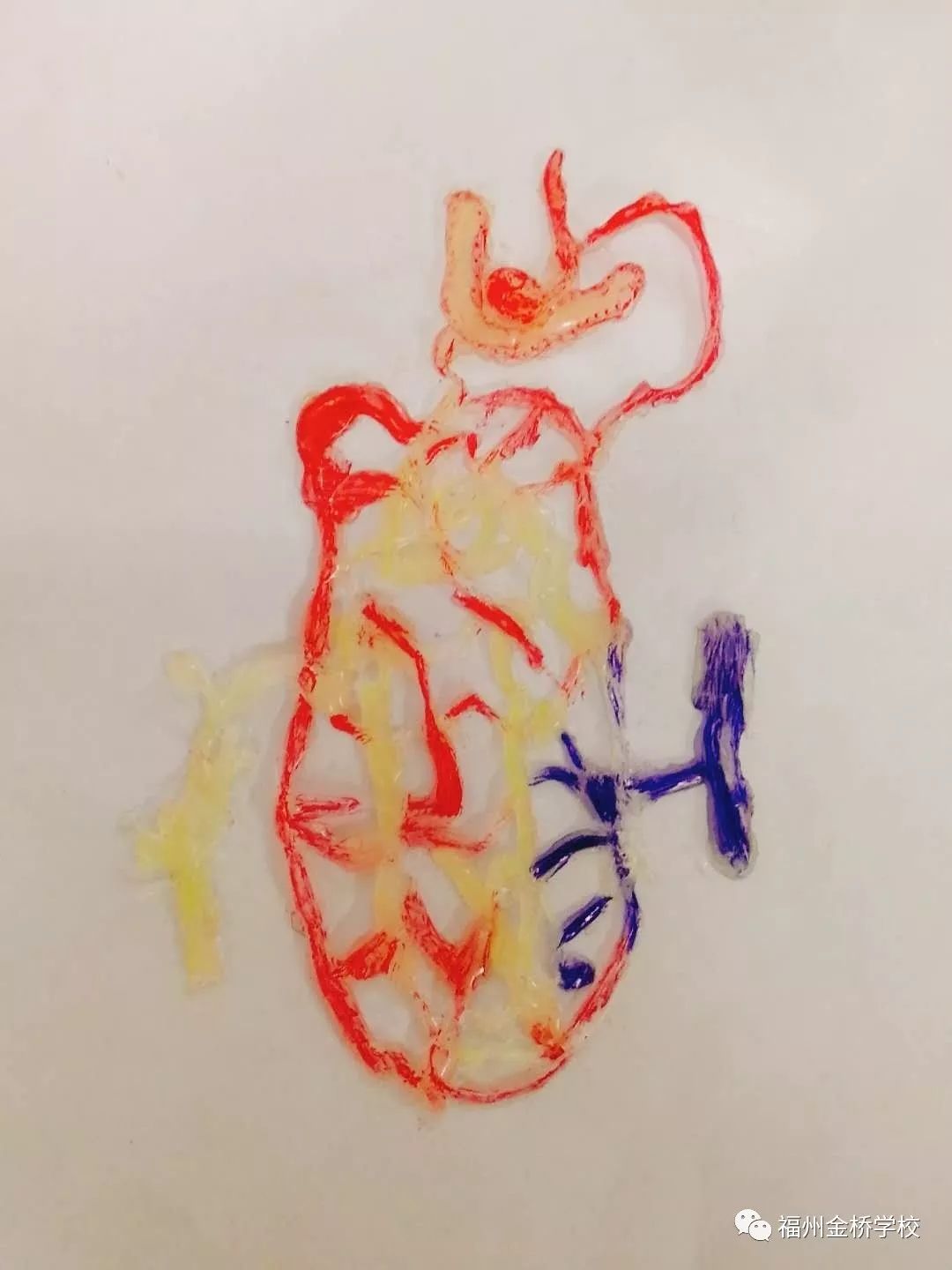 人体通过膈肌和肋间肌的收缩(舒张),引起肺内气压减小(增大),促使气体