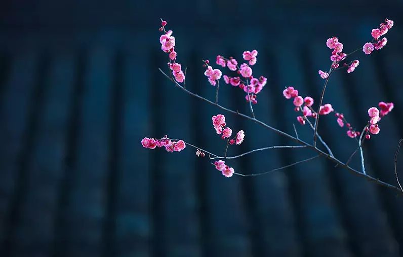 不到园林怎知春色如许