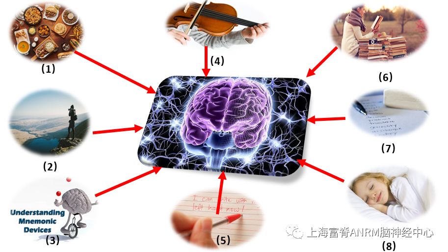 优化大脑功能的8种方式_可塑性