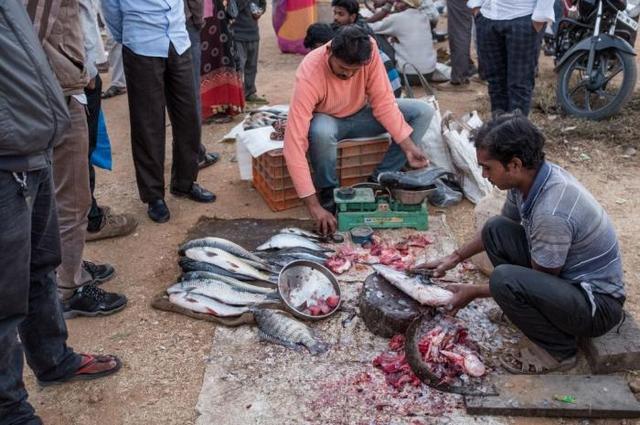 印度恒河肉的来源图片