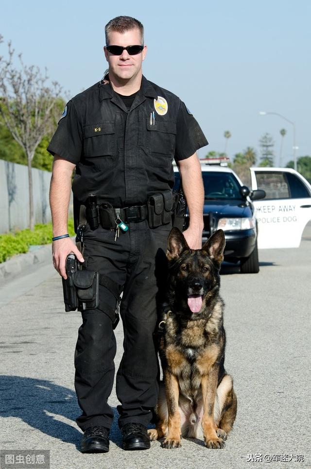 警犬是军犬吗 - 实验室设备网