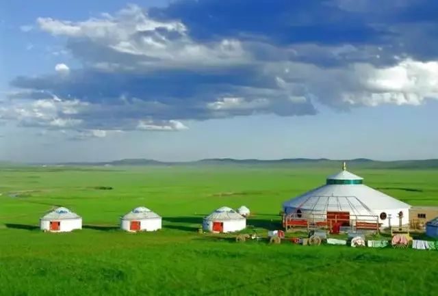 一到夏天 这9个草原就美成了仙境_牛羊