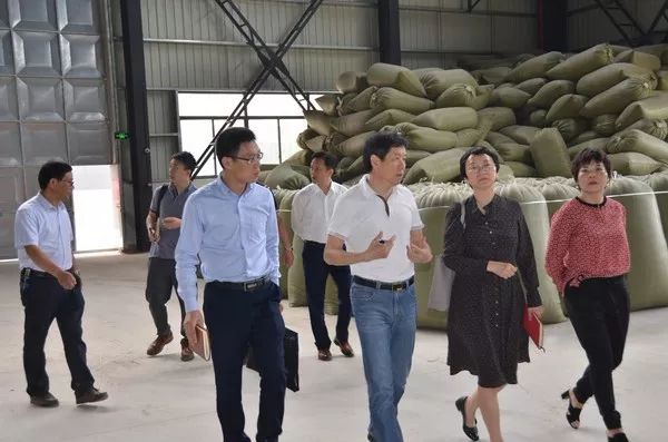 人民日报上海分社走访宣城新塘羽绒产业园