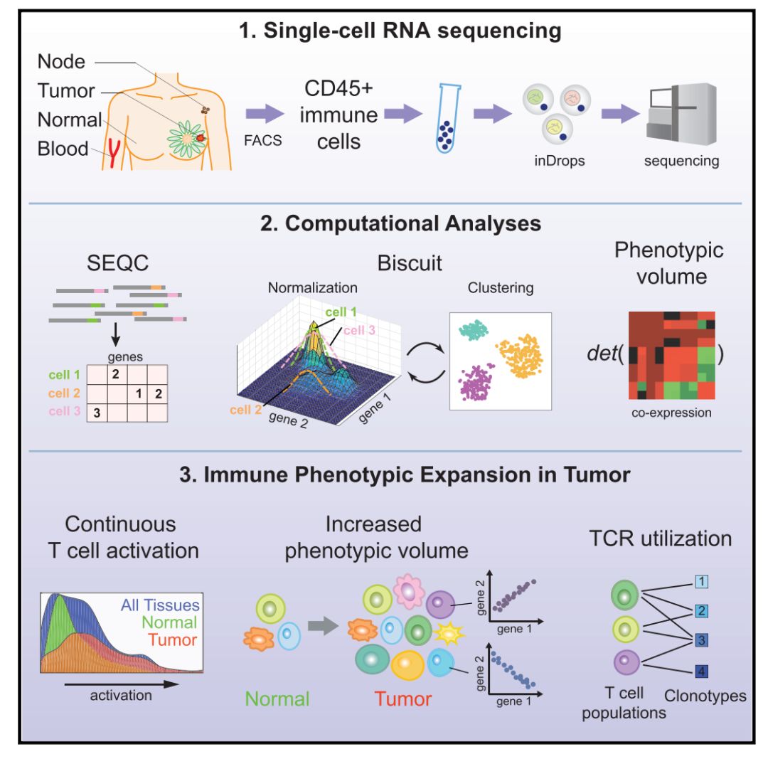 盘点单细胞测序技术应用于癌症领域高分文章集锦