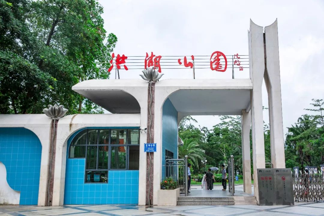 美哭洪湖公园百亩荷花盛开惊艳全深圳