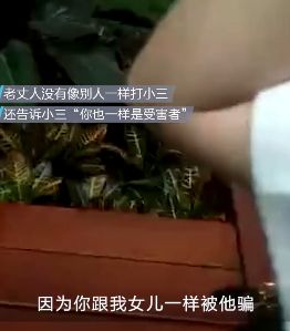 女儿怀孕女婿带小三出国旅游在机场被岳父母抓住打开箱子惊呆了