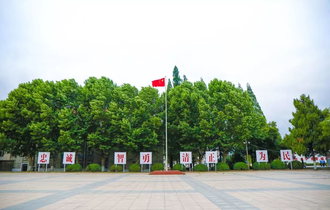 想报考安徽公安职业学院,除了分数,还要满足哪些条件?