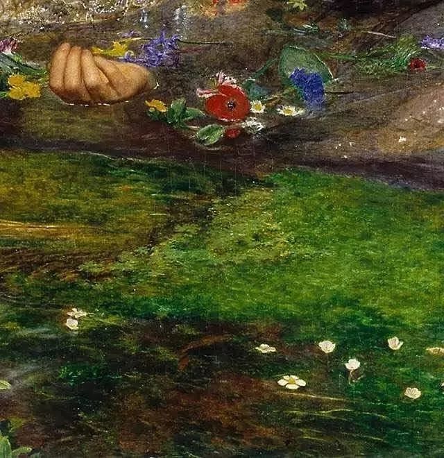 日本励志动画奥菲利亚决不放弃这一次为自己而活吧