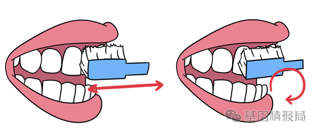 漫画科普:"老了会掉牙"这种说法已经老掉牙了?