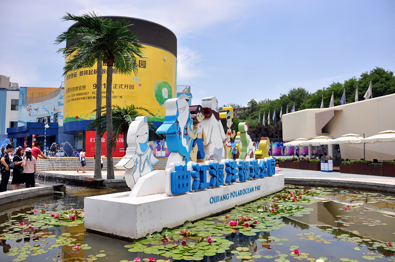 端午节第一天,快乐打卡曲江海洋馆,快来看看,有你们呢