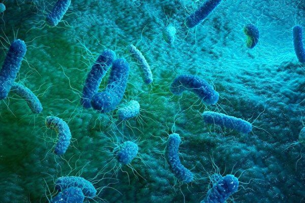 原创科学家找到对付革兰氏菌的复合物,对抗超级细菌获得突破进展