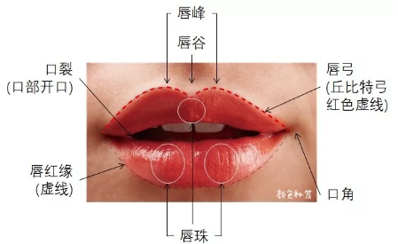 好看的唇部,除了唇部饱满之外,唇峰明显,唇珠隆起