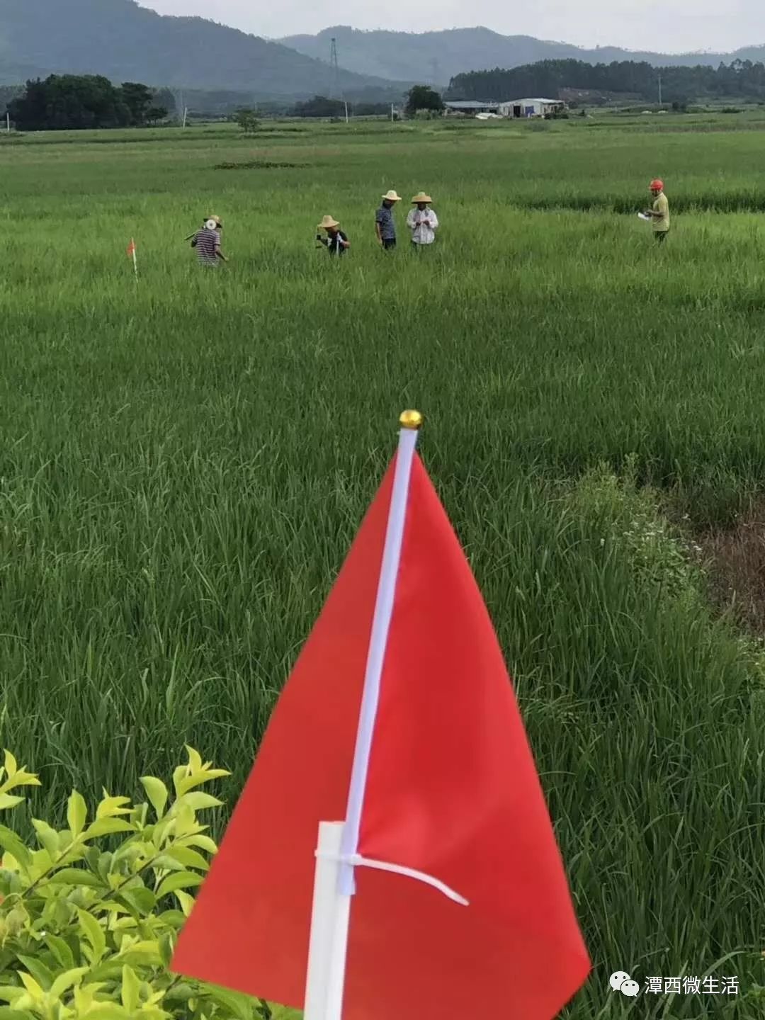 重磅省道s510陆丰河西至西南段改建工程已开始界线