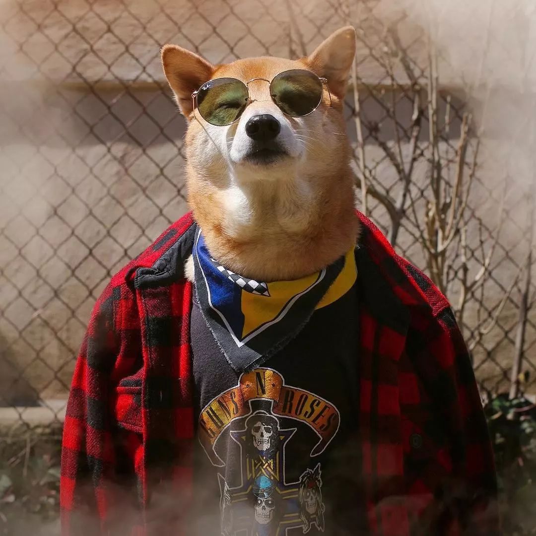 图片来源:mensweardog之后,叶娜·基姆辞掉了工作,专心做起了 bodhi