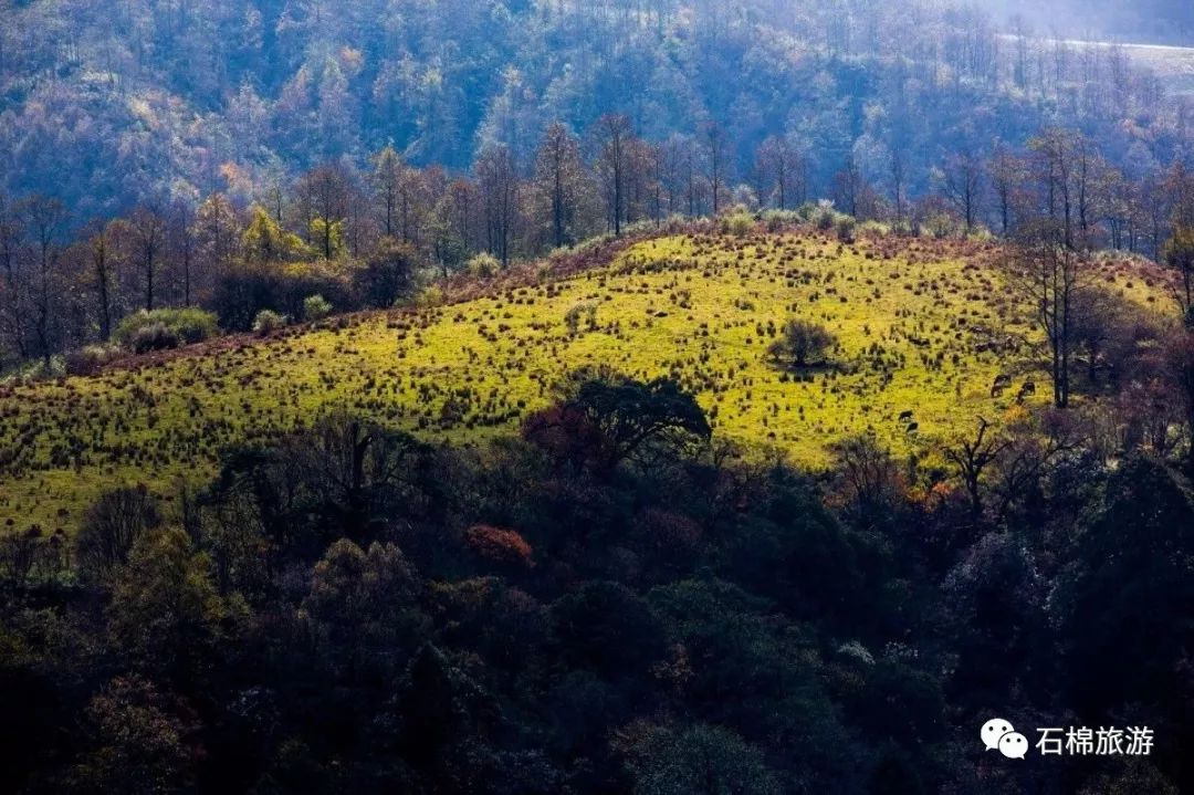 端午第一天高原风情孟获城