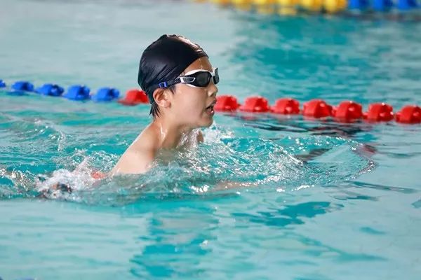 学生尽享游泳乐趣——闵行区实验小学第九届游泳锦标赛成功举行