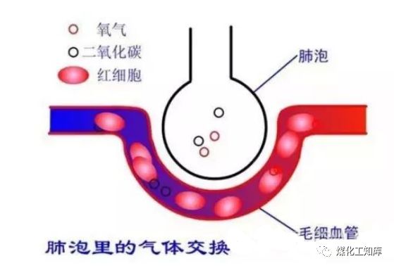 安全月化工行业第一杀手为何每年多人命丧于此