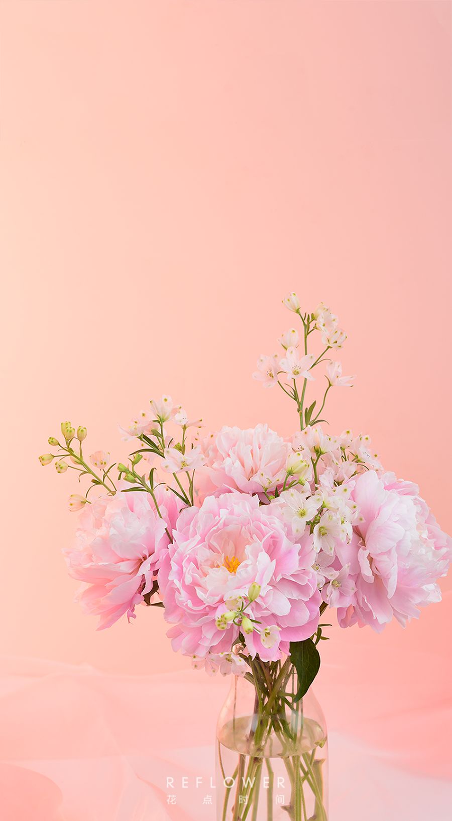 壁纸福利 | 粽子节快乐