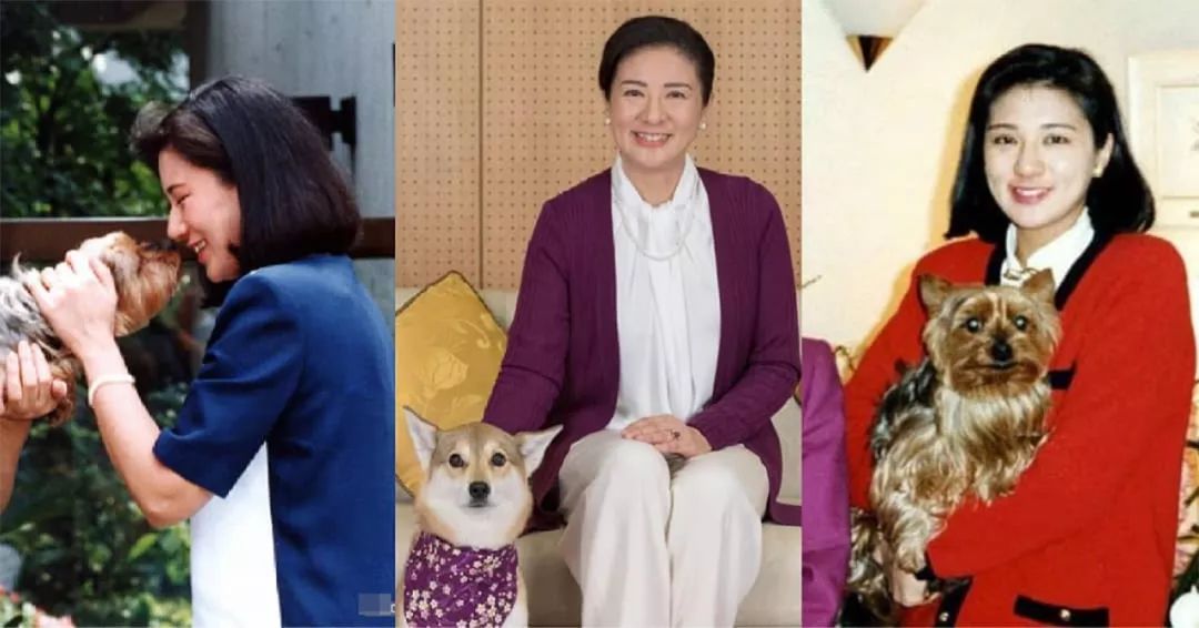 原创56岁雅子皇后爱养狗不仅用狗缓和夫妻关系还教会爱子责任感