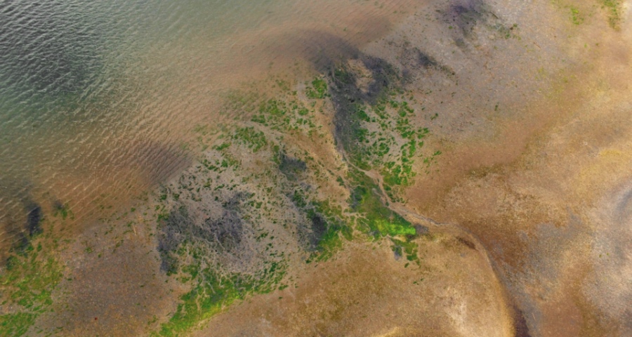 财政补贴红利时代彻底终结，家电厂商只能从用户身上找钥匙-家电圈官网