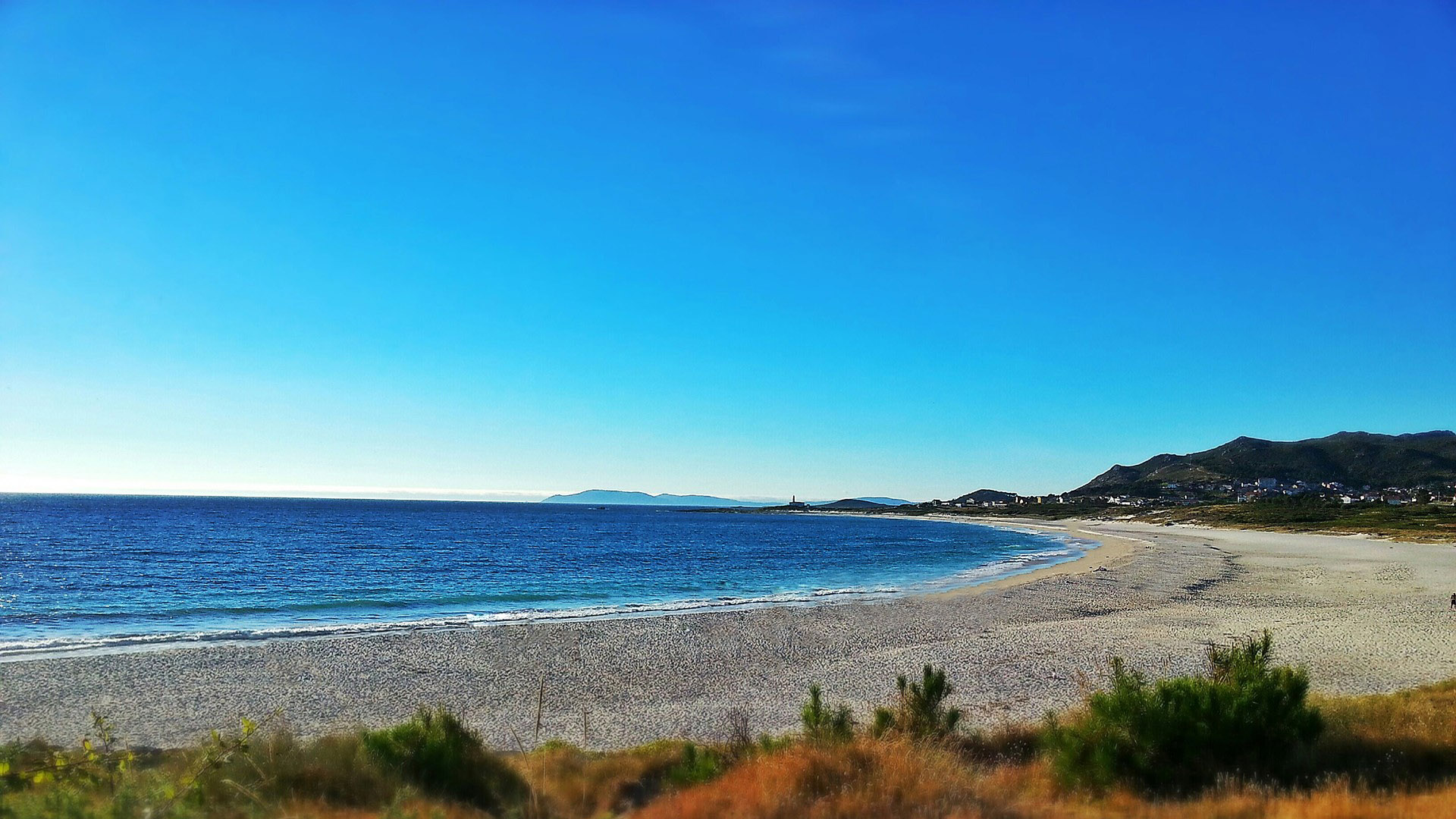 拥有丰富学识,雅致淡然,沉稳有内涵的3个星座