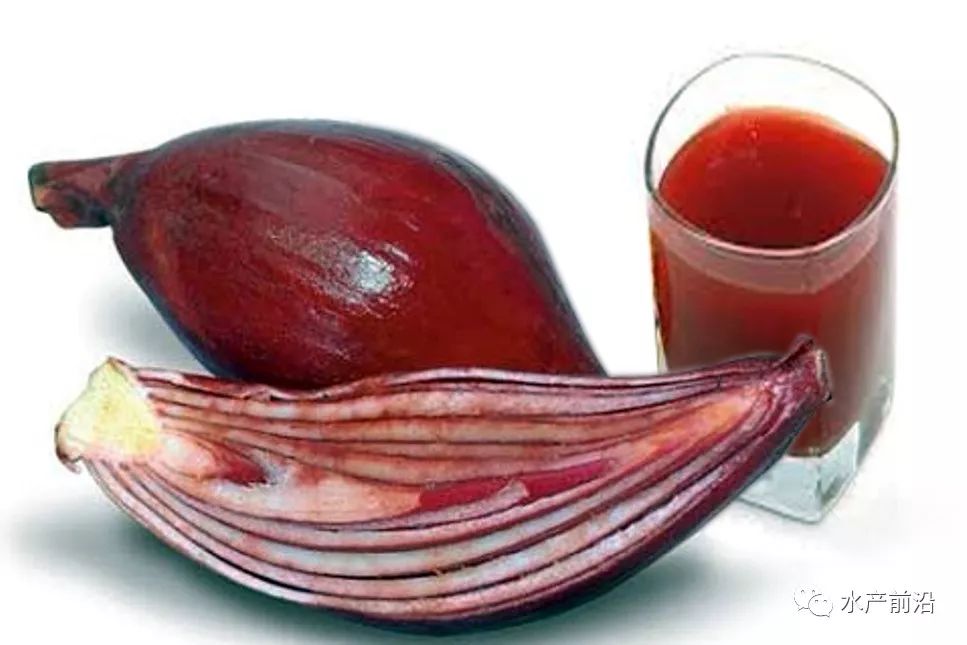 红葱味若,性凉,具有清火解毒,利尿除湿,活血散瘀