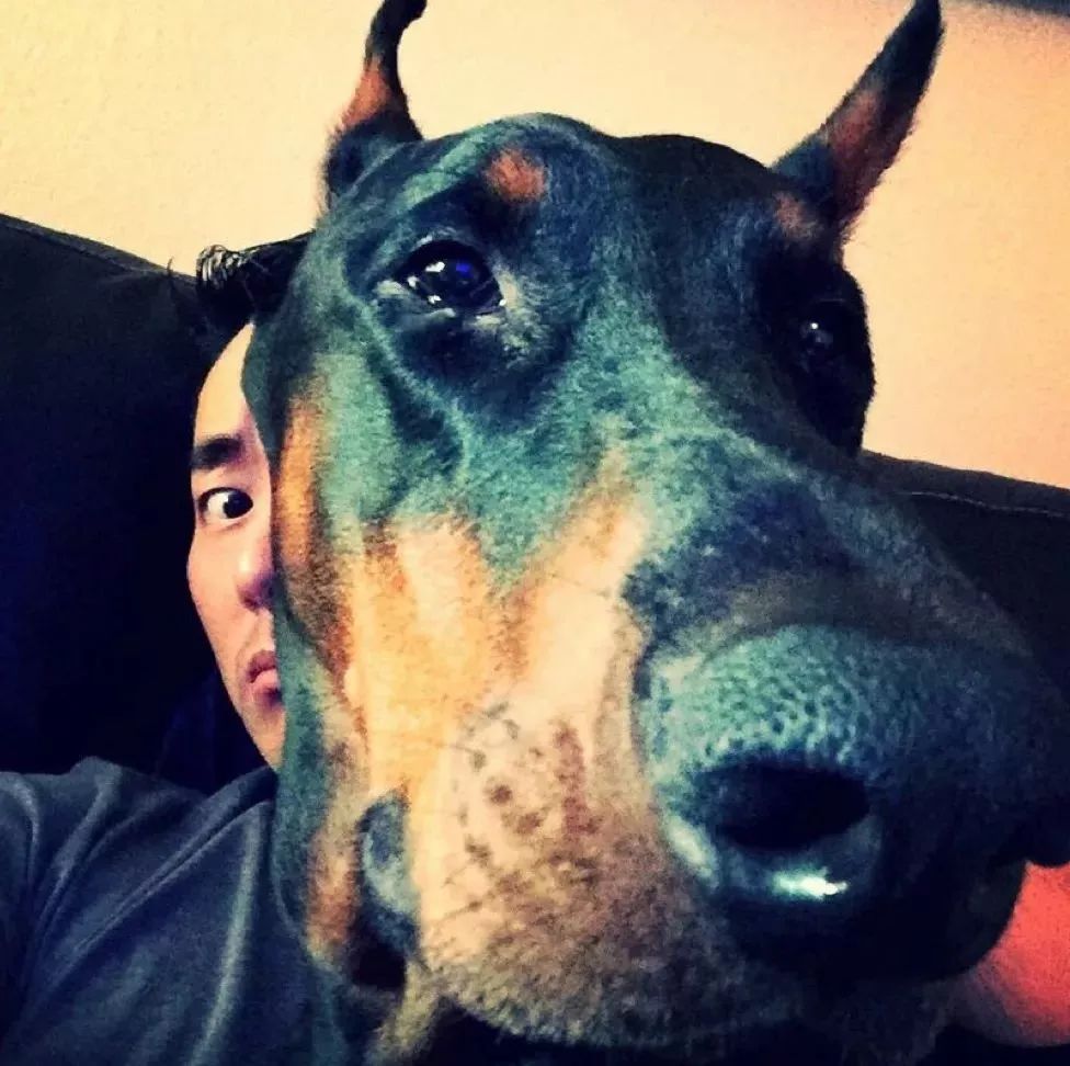 桑东:大东"北大高材生","退伍文艺兵","健身品牌创始人","非诚勿扰