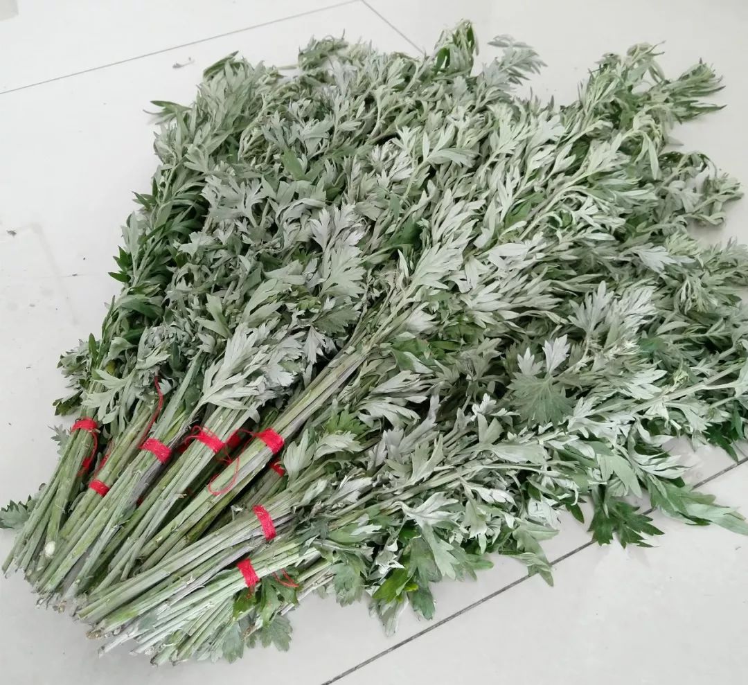 浓情端午艾草相赠100束艾草送给大厅群众啦