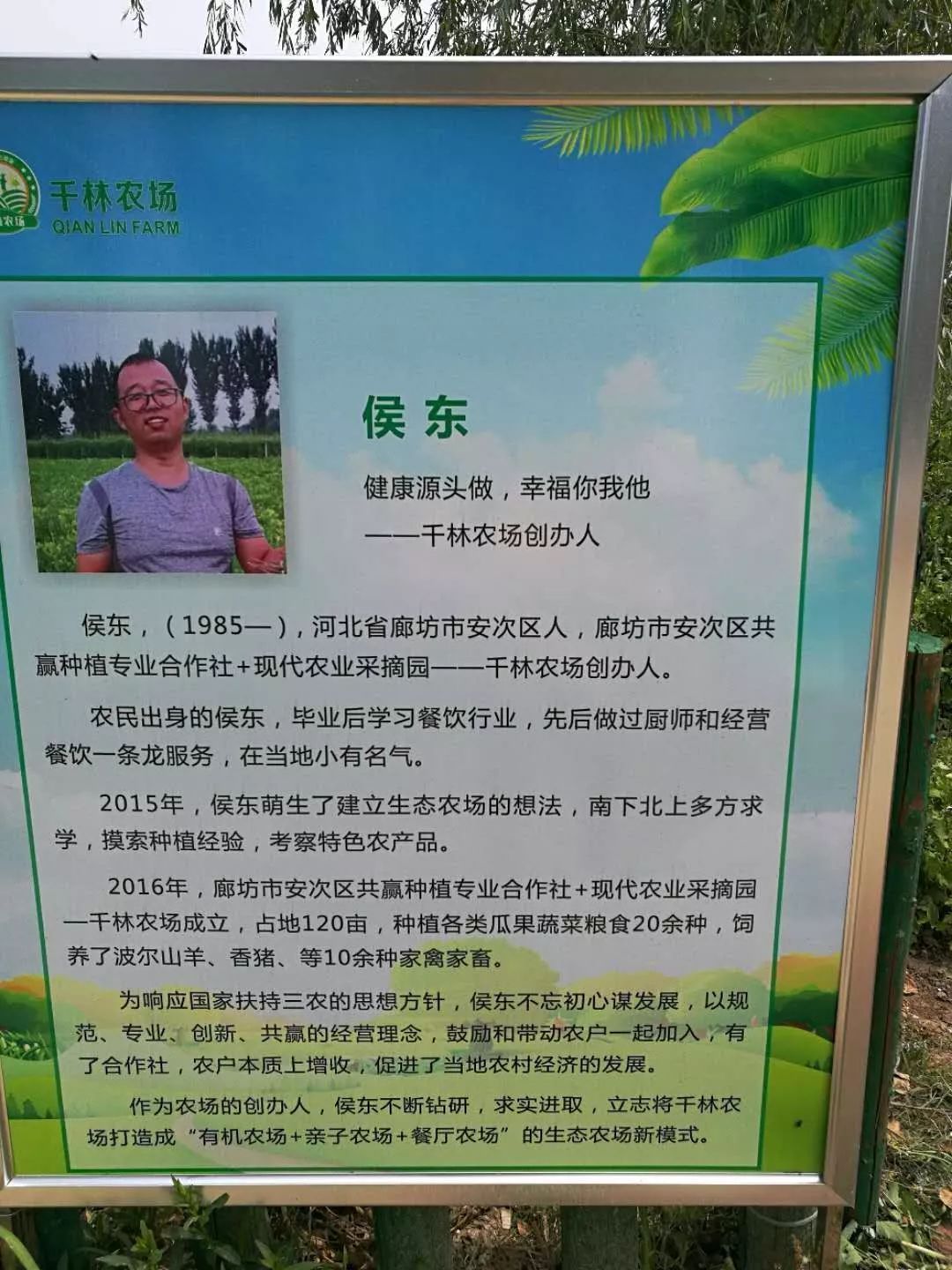 麦浪草坪烧烤廊坊人的端午原来可以这么过