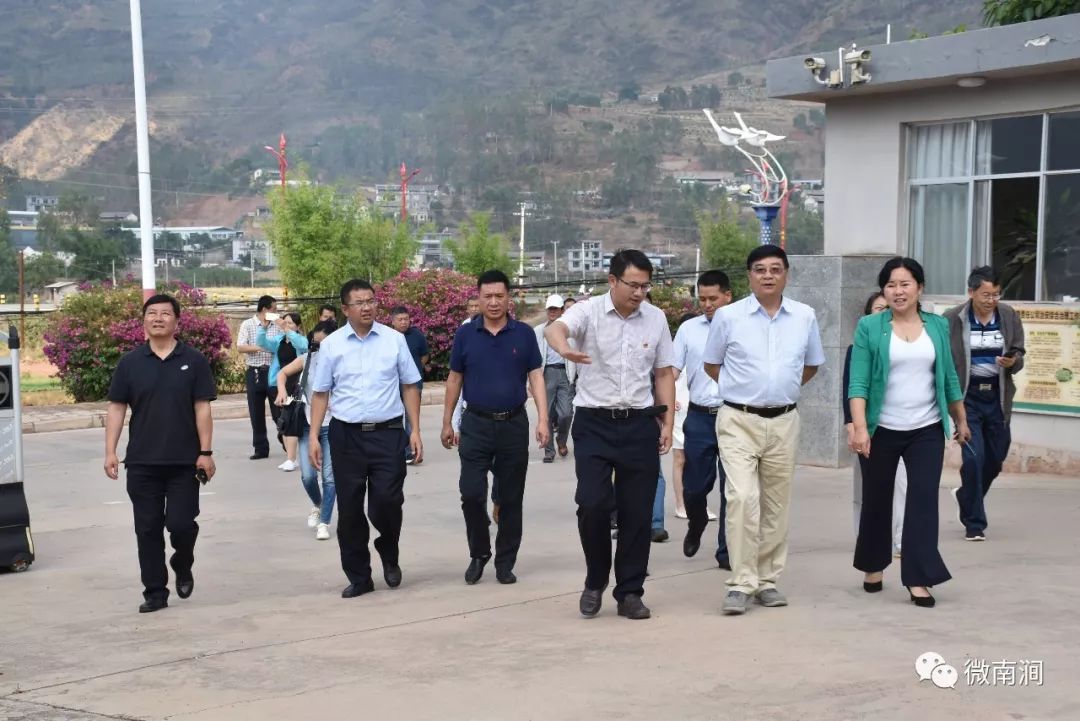 省州政协专题调研聚焦南涧县农产品加工业发展及绿色食品品牌打造