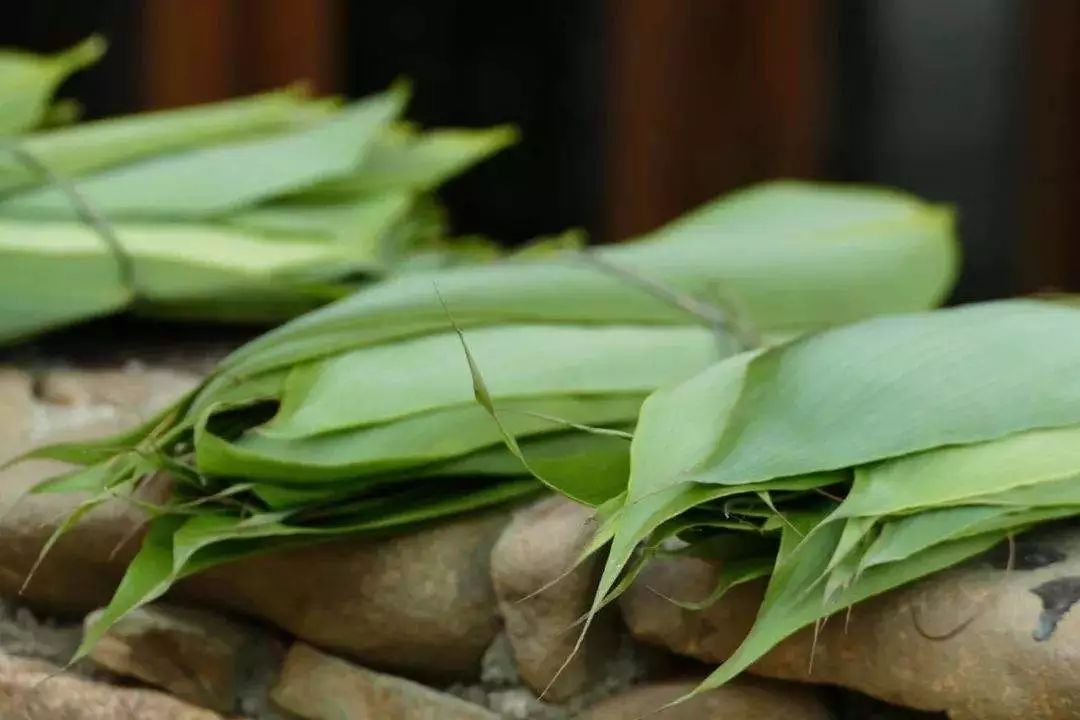 粽叶的品种比你想象的多