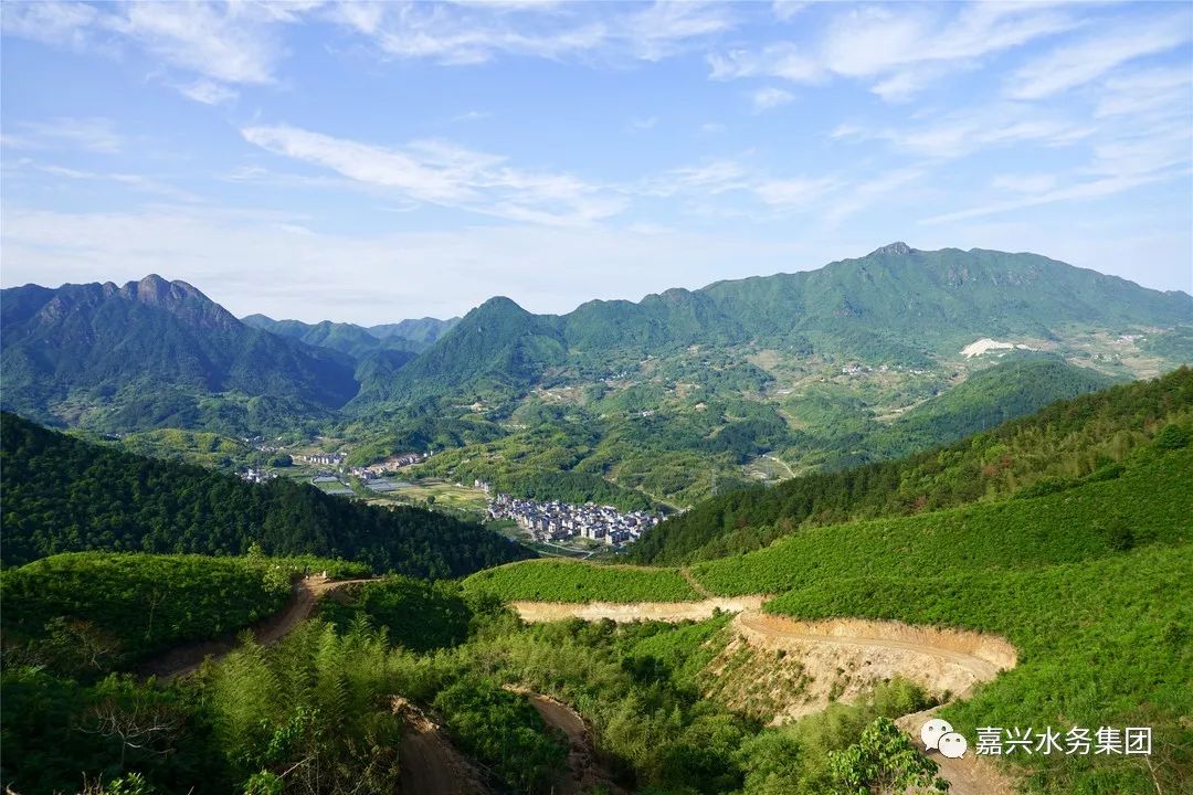 定向捐赠意向书,定向拨付遂昌县云峰街道马头村用于培育油茶林项目