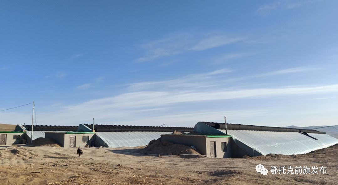 我旗"一带一路"农业技术转移推广工作成效显著_蒙古国