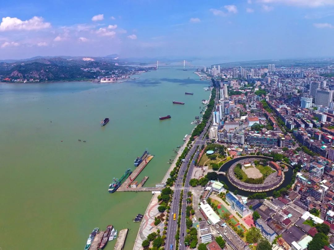 拍到中华白海豚来汕头湾做客了