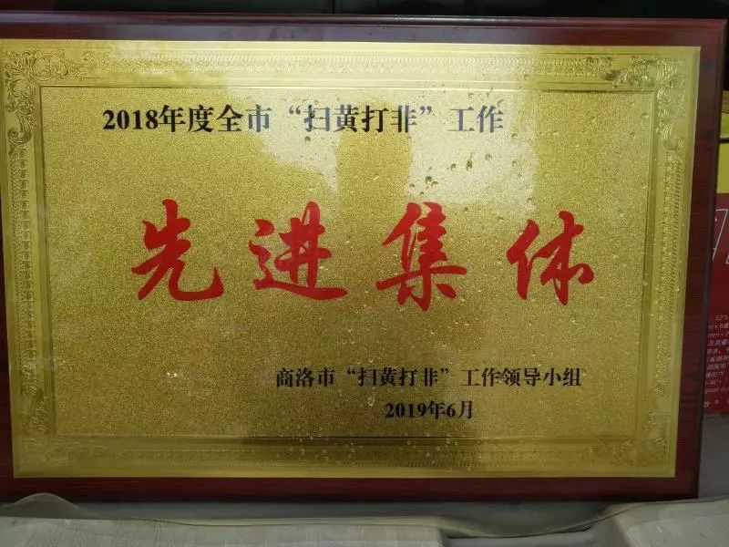 柞水县文化市场综合执法大队荣获2018年度全市"扫黄打非"先进集体表彰