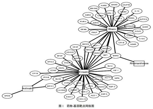 药学专题网络药理的大黄素及其类似物抗肿瘤分子机制研究