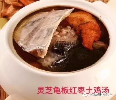 灵芝龟板煲汤料日系斑纹一公一母,公1两多,母2两多,2条打包出.